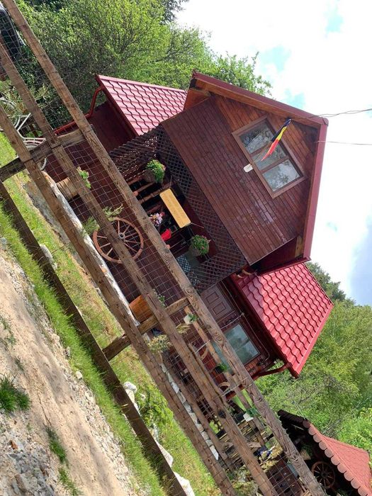 Cabană sau casă de vânzare...