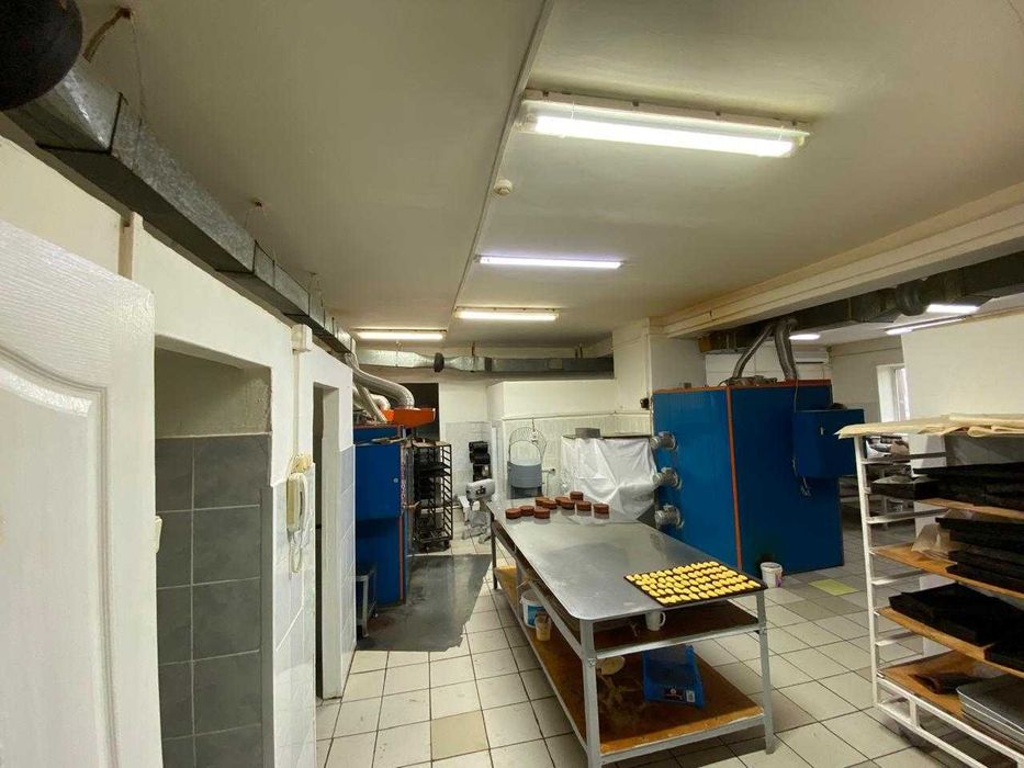 Действующий бизнес