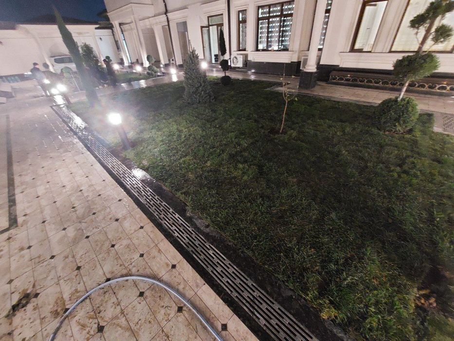 Газон разнога вида