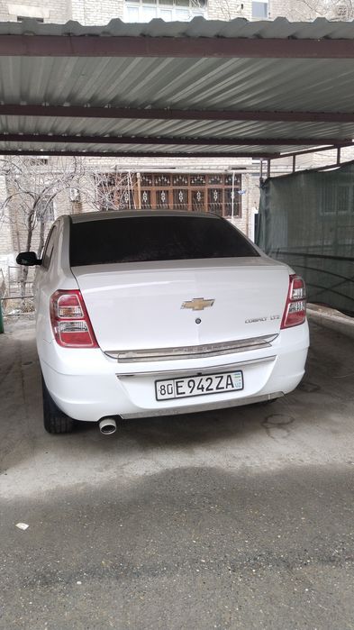 100 foiz garantiya radno y