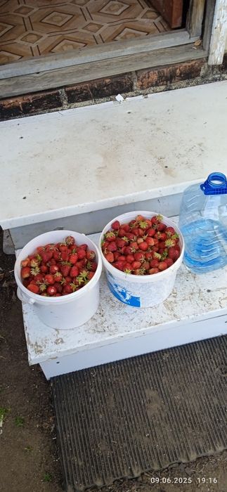 Продам дачу сады 1