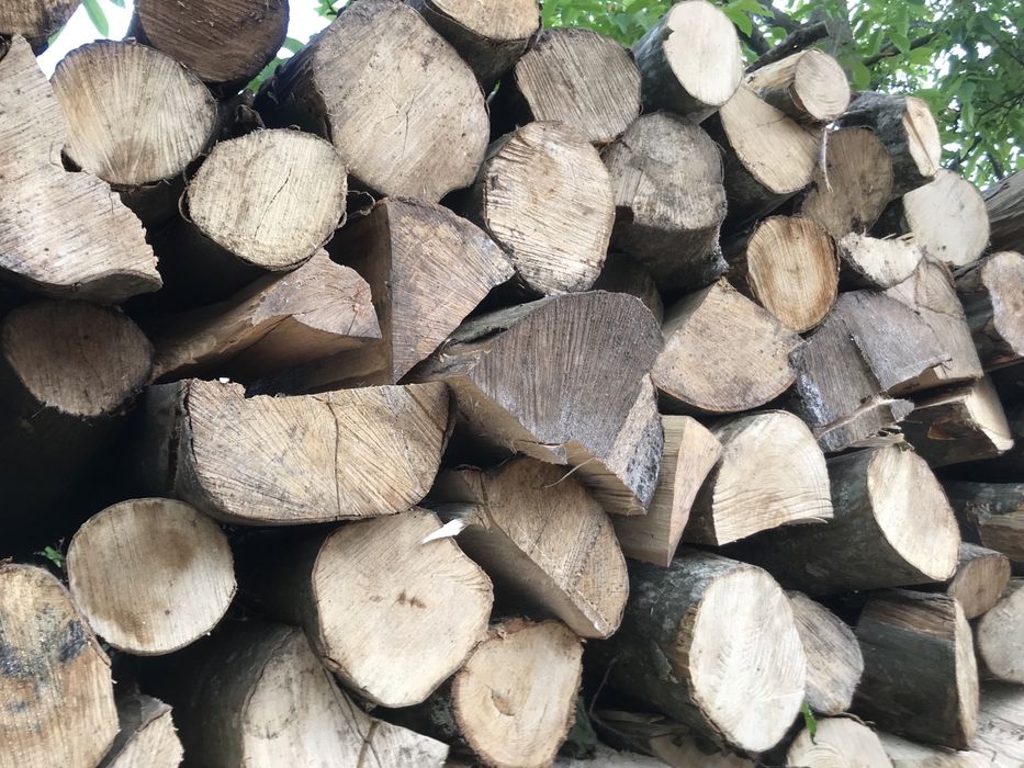 Lemne de foc,carpen/fag,calitate garantata!