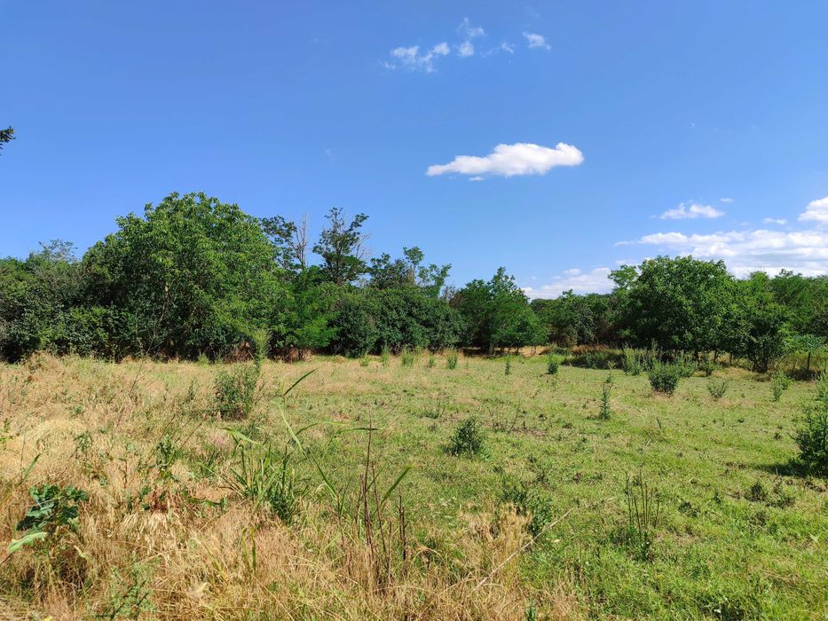 Продава се Къща в с. Къпиново, Област Добрич - 80 кв.м за 49 €/кв.м - Снимка #5