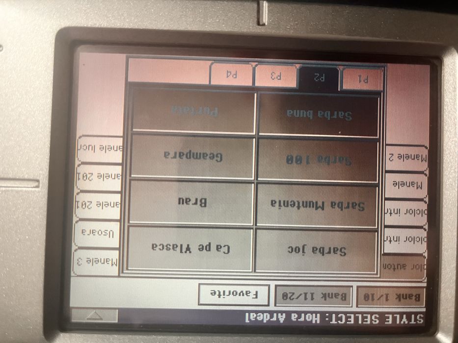 Set pentru Korg pa800.