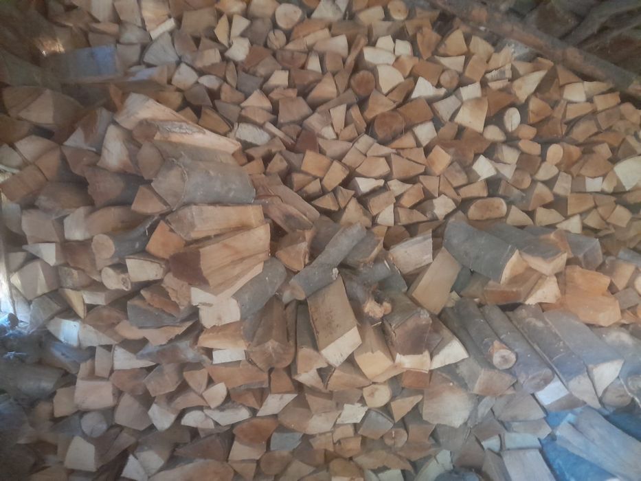 Vând leme de fag,gata crăpate gata uscate,am 10m,500 de lei m 0744815990