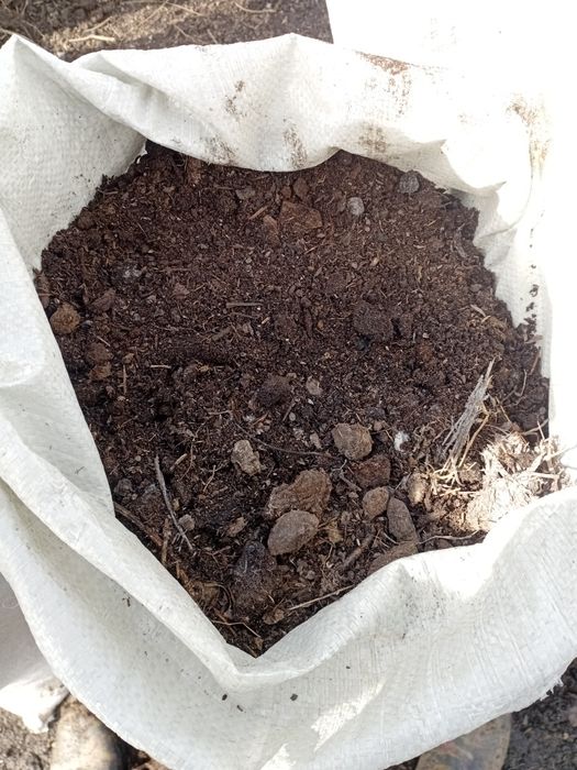 Перегной  хоршый