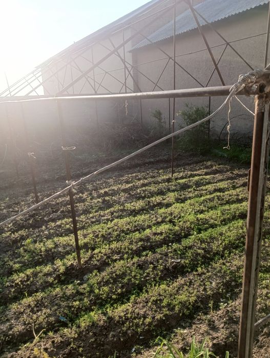 Парник сотилади бир сотихлик