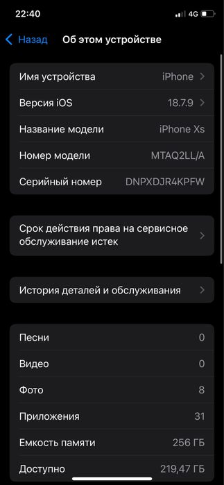 iPhone XS 256 GB