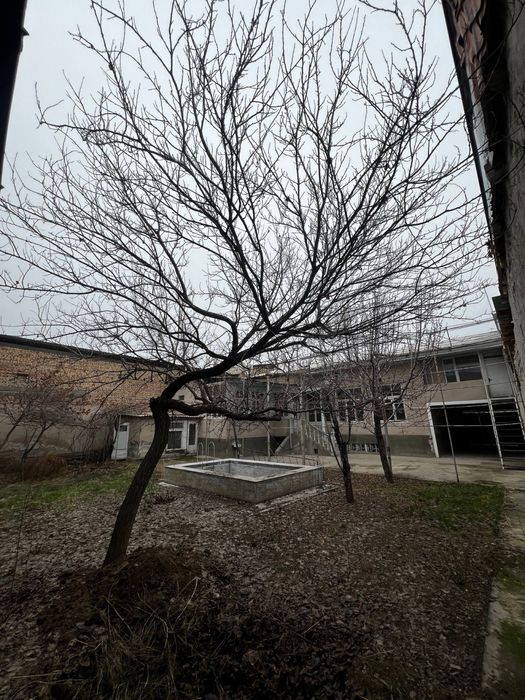 Участка сотилади (Урикзор махалла)