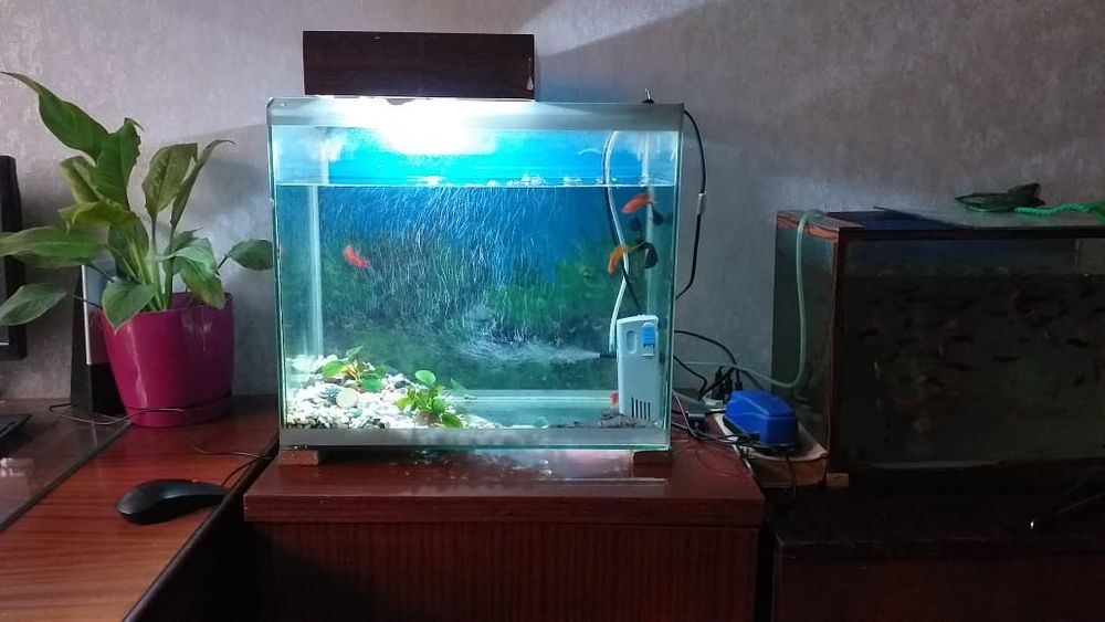 Аквариум для рыбок