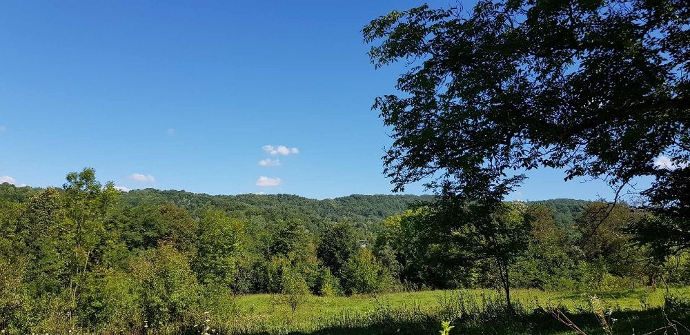 Teren intravilan Provita de jos (langa Breaza)- PRAHOVA    REDUCERE!!!