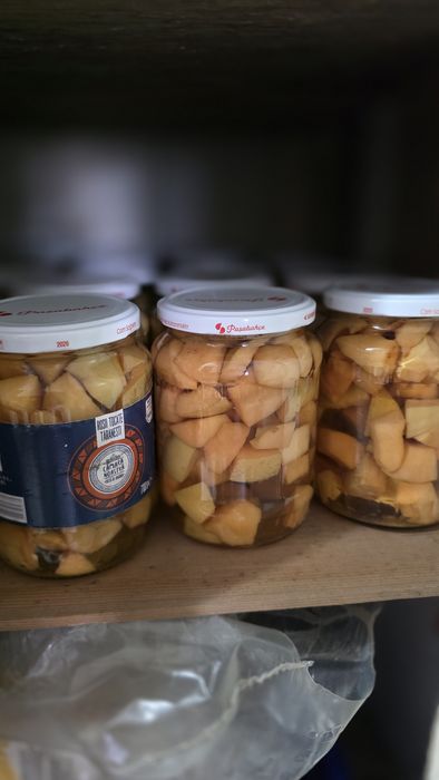 Compot de gutui si prune