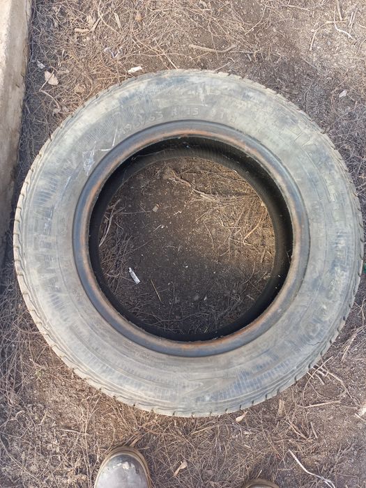 Продам покрышки летние