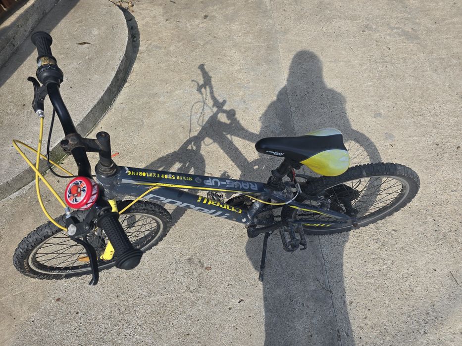 Bicicleta pentru copii