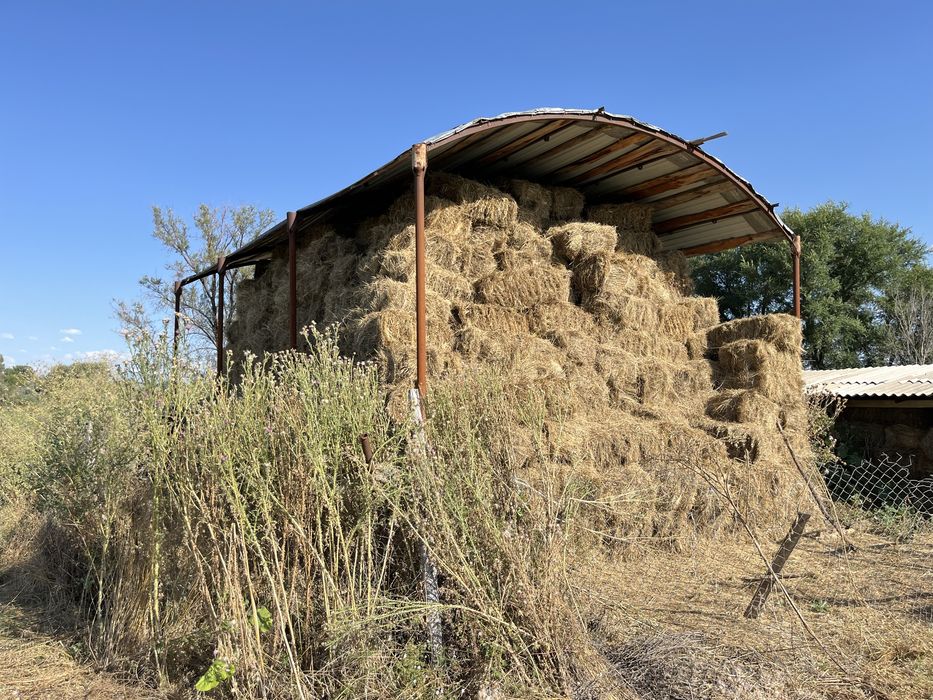 Шөп сатылады еркін