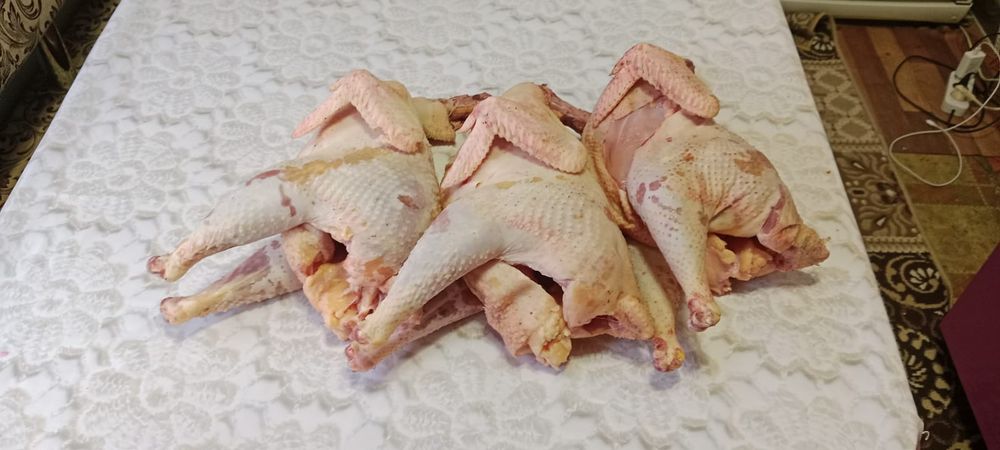 Домашние куры чищеные