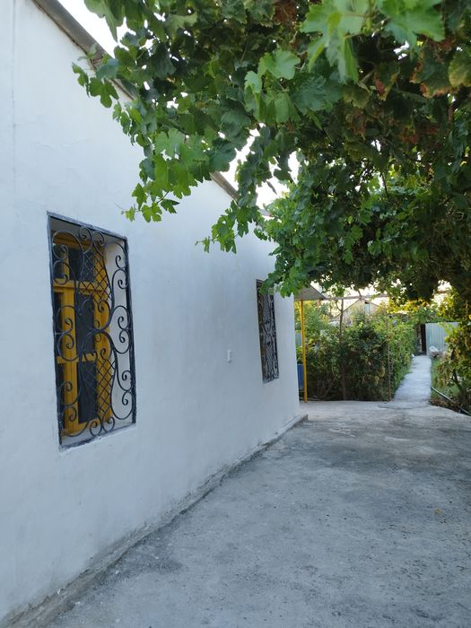 Dacha sotiladi 6 sotik