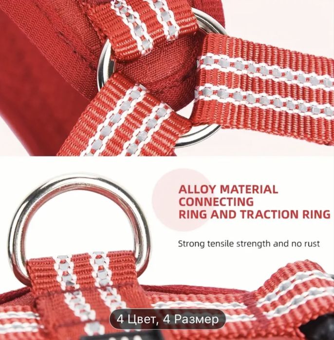 Шлейка анатомическая