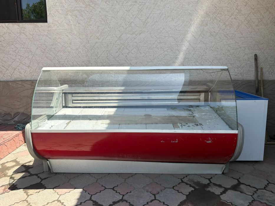 Витринные Холодильники и Морозильник