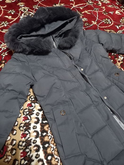 Ayollar kurtkasi baloniviy