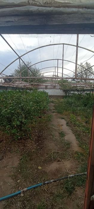 Parnik 10 sotih yer maydoniga ega