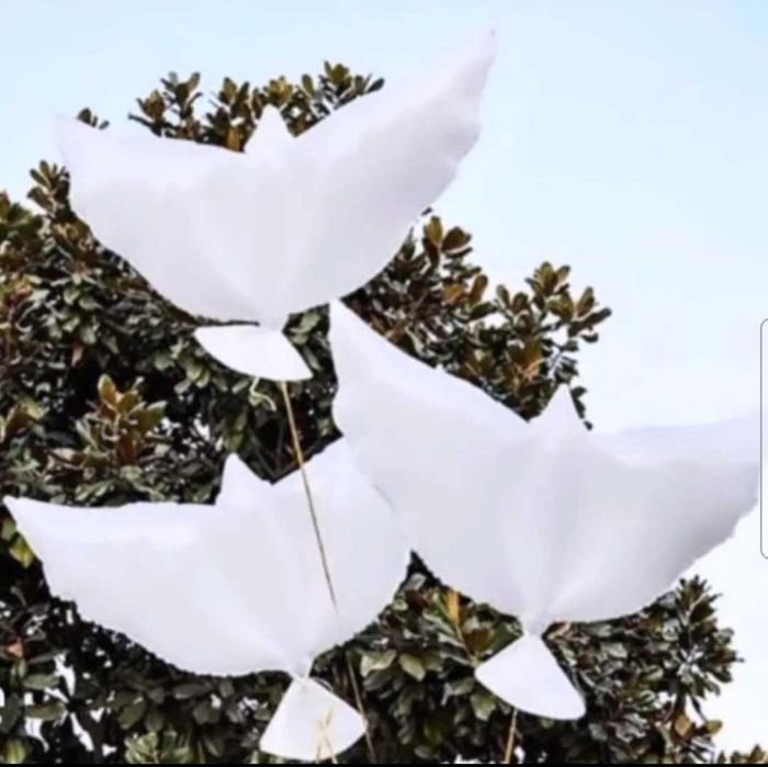 Белые голуби шары