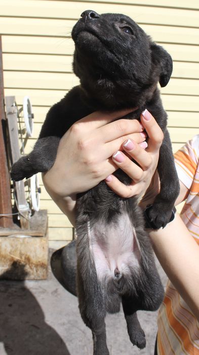 С любовью отдам на радость вам