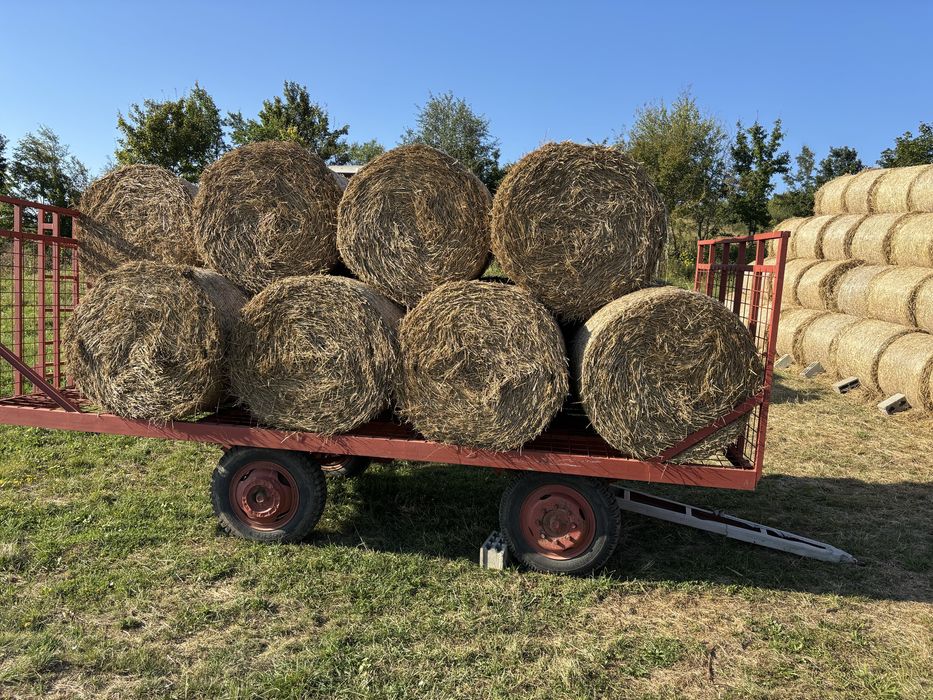 Baloti fan si lucerna