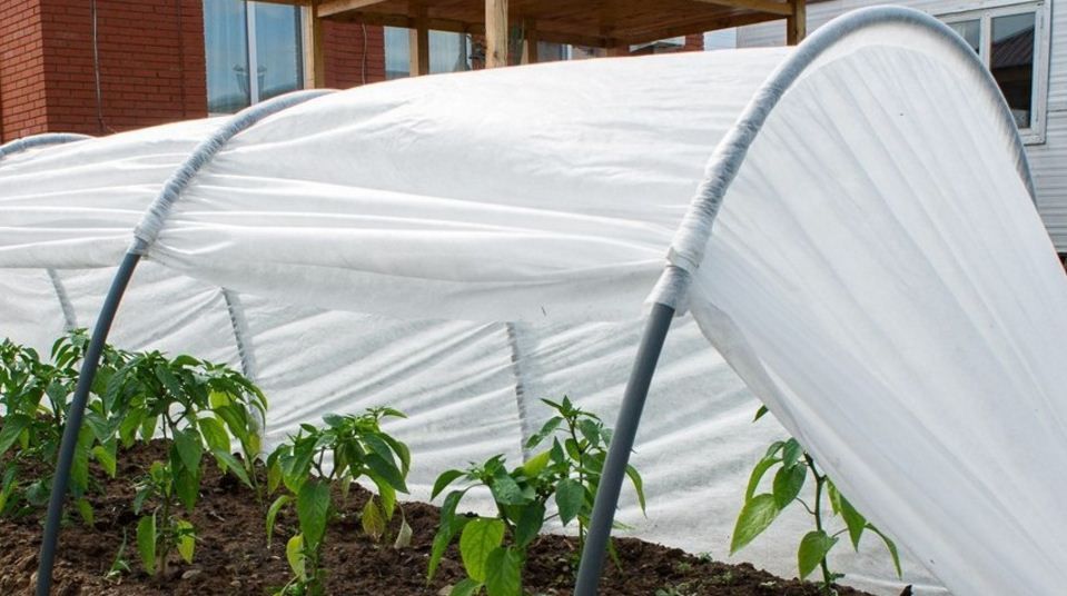 Укрывной Материал от солнечных ожогов и заморозка Растений.