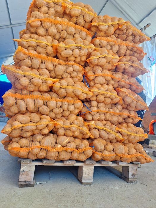Cartofi de Vânzare - Albi și Roșii - Direct de la Producător