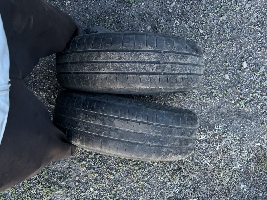 Продаю шины летний р 15