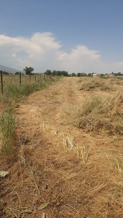 Продам земельный участок в Шамалгане