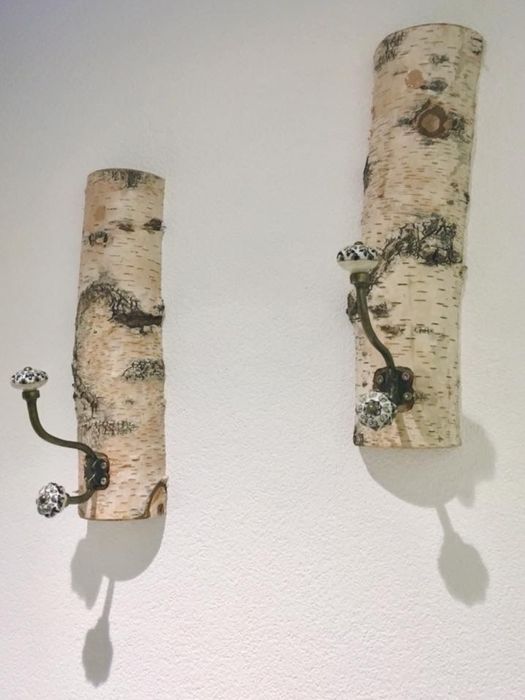 Trunchiuri decorative de mesteacan  pentru pereti despartitori