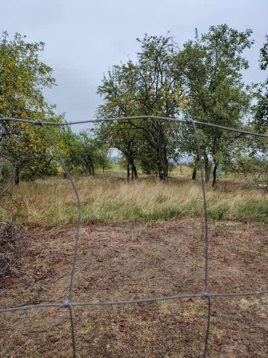 Casa de vânzare si gradina sat Breazova jud Timiș