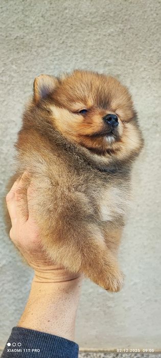 Момчета и момичета