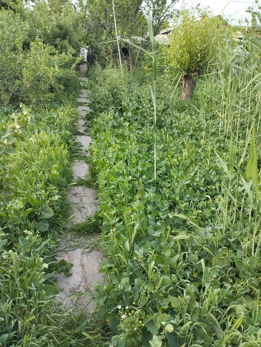 Срочно продается дом