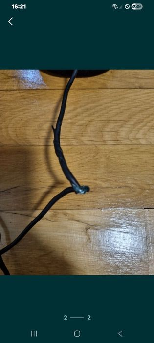 Animale Craiova dolj