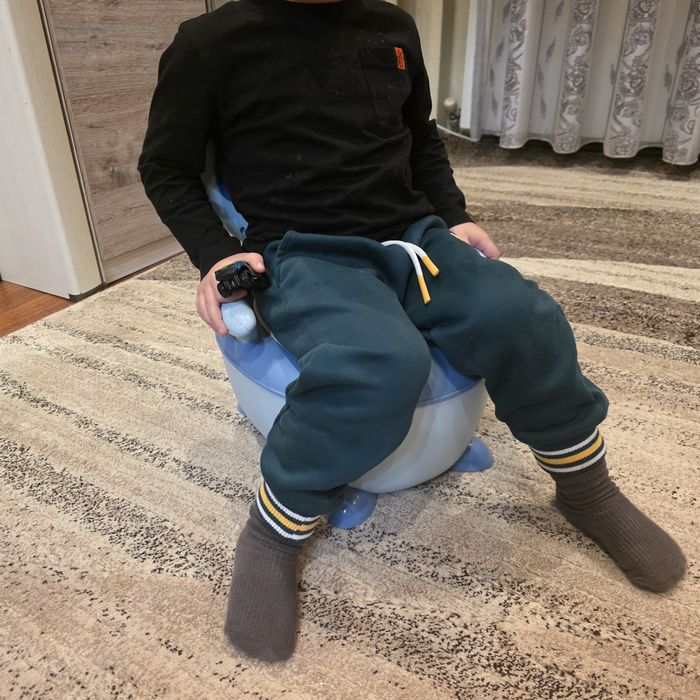 Сиденье на унитаз детское