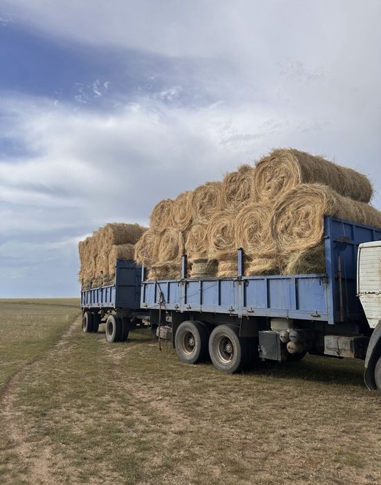 Продам рулон сено