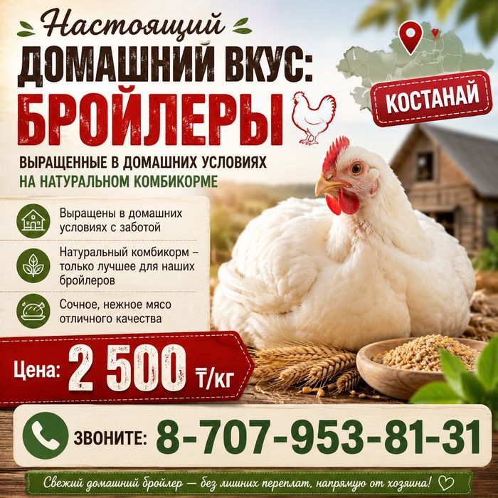 Мясо домашнего бройлера