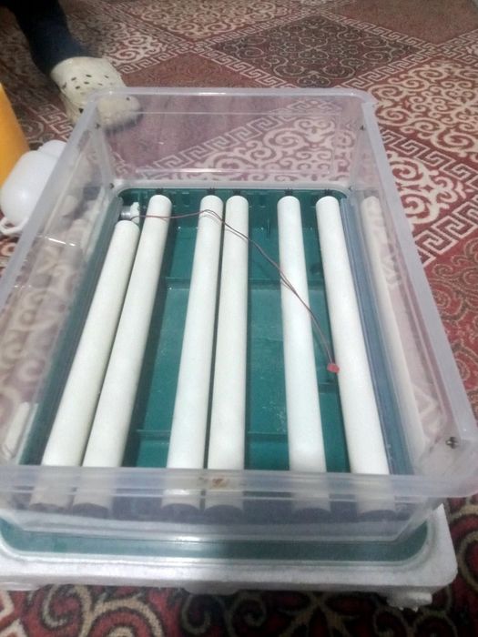 36талик Инкубатор сотилади