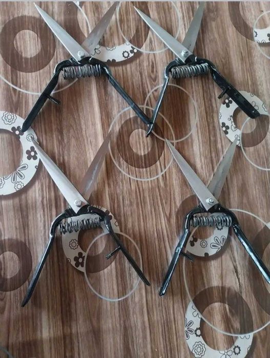 Ножици за подстригване на овце