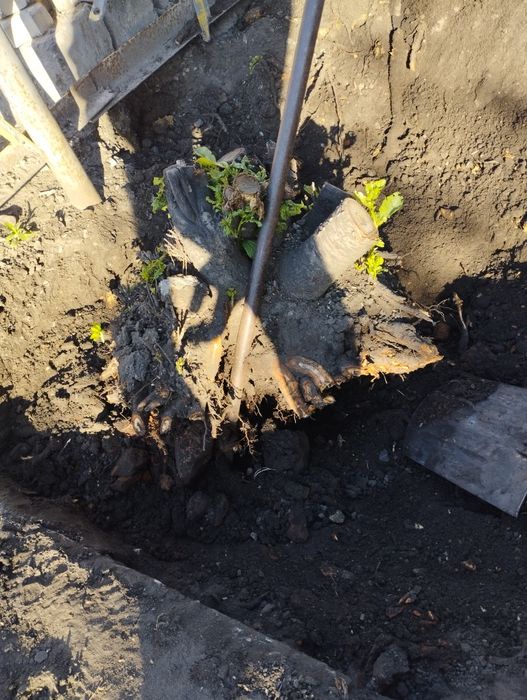 Уборка территории прополка огорода