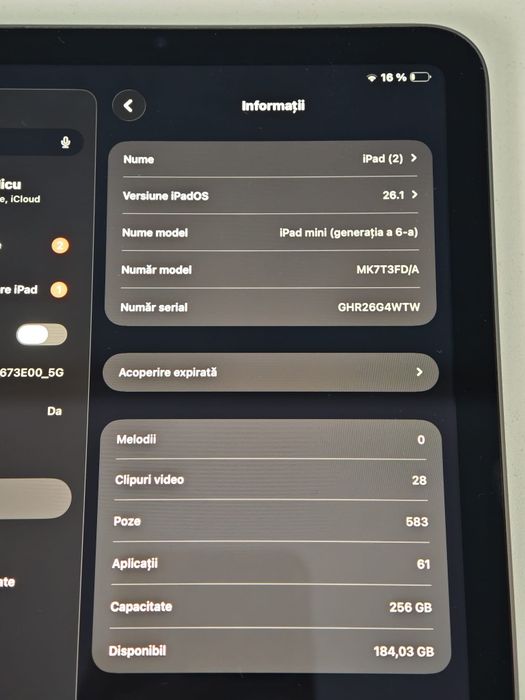 Ipad mini 6 256 Gb