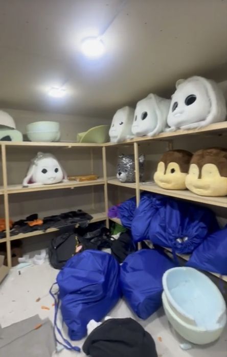 Ayiqlar sotiladi optom