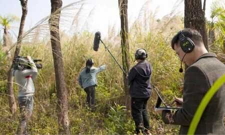 Интерком наушники WiTalk WT5D WT3/4/5/6/8/9S