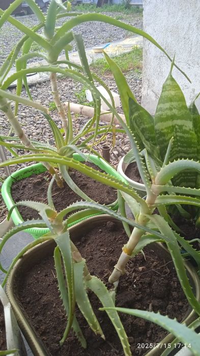 Распродажа. Почти даром.