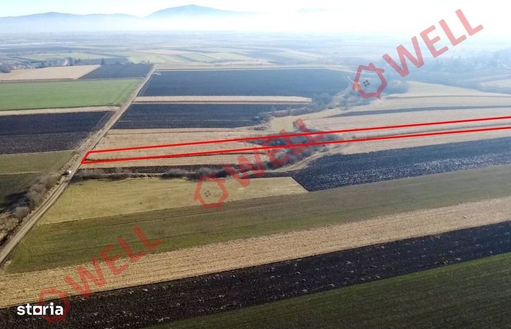 Teren extravilan de vânzare în Dobolii de Jos!