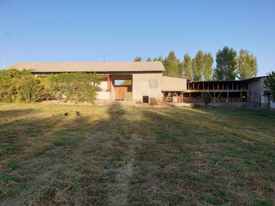 Srocno uchastka sotiladi 50 sotix