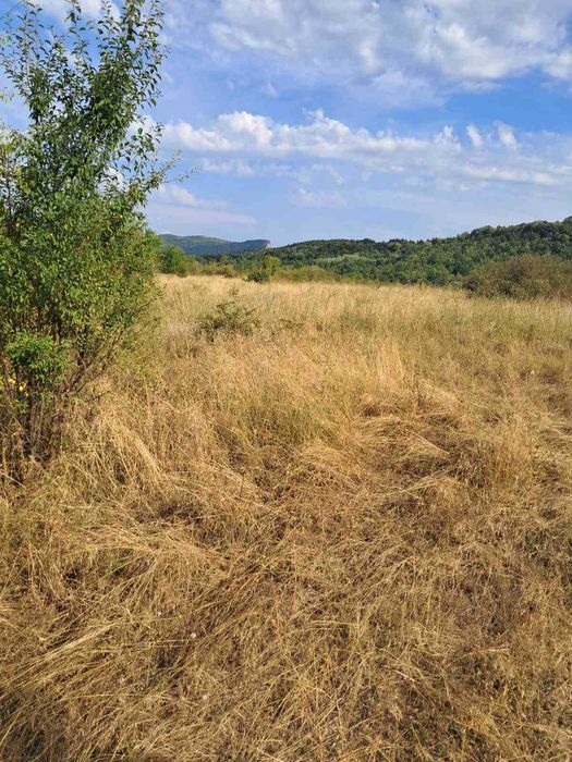 Парцел град .Севлиево ,3605 кв.м местност "Севлиевски лозя "